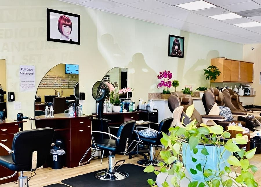 Bright interior of Amazing Cuts with styling chairs and plants in Sunnyvale, California, US.