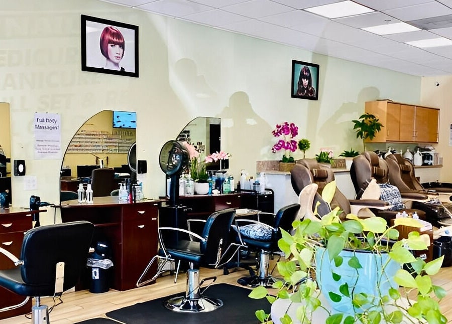 Bright interior of Amazing Cuts with styling chairs and plants in Sunnyvale, California, US.