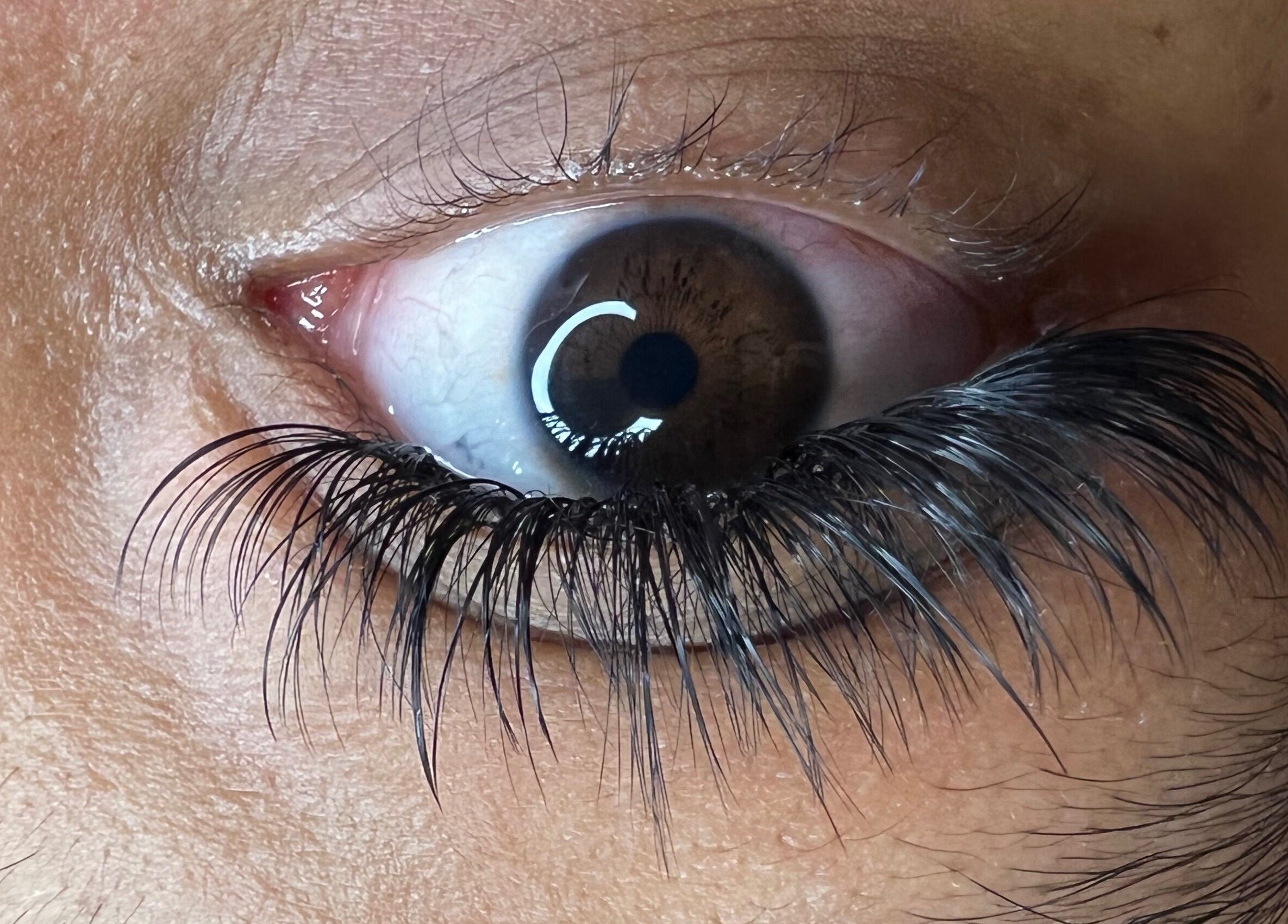 Closeup of stunning lashes from Lashes by Mynxy Beauty Bar in Sandton, Gauteng, ZA, showcasing elegant extensions.