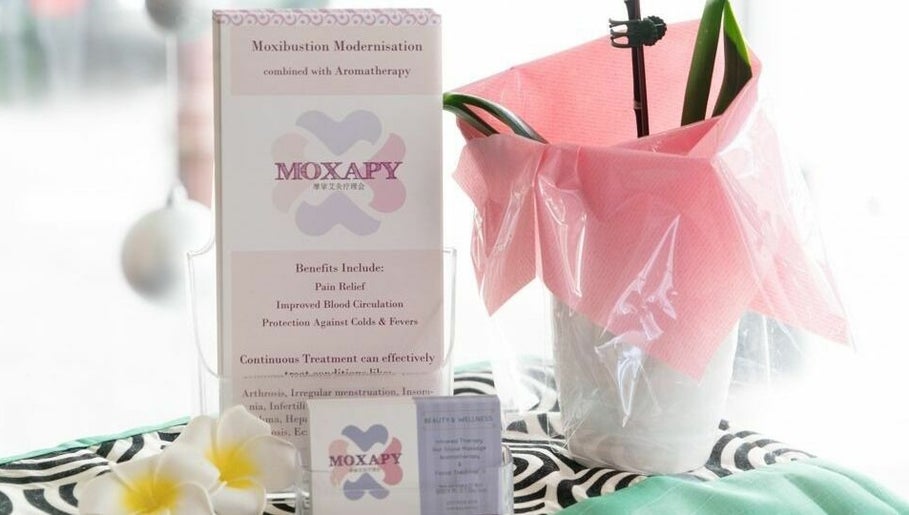 Moxapy image 1