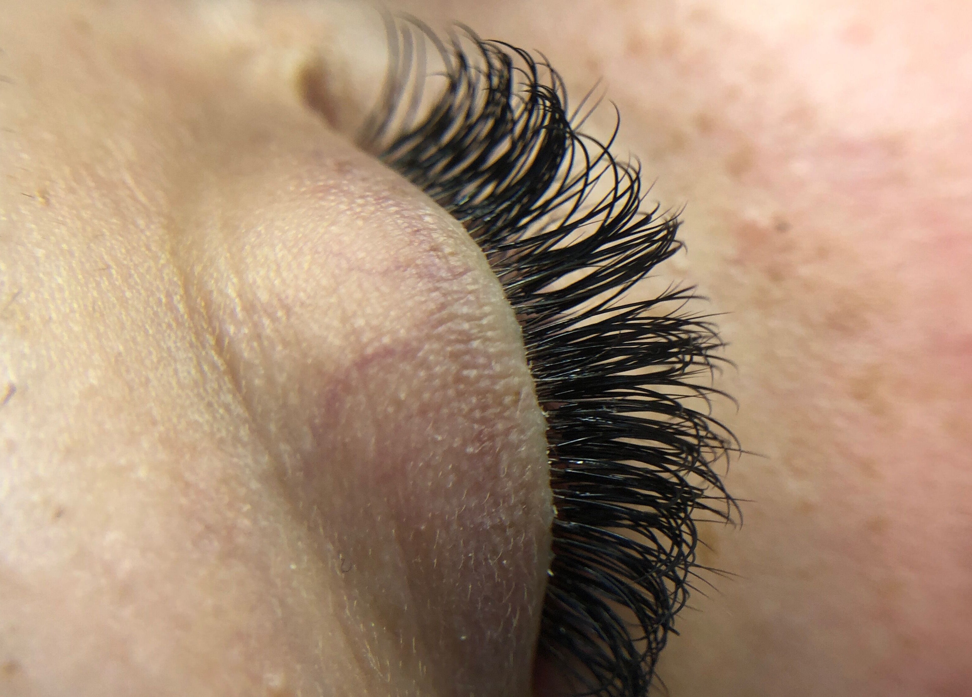 Close-up of expertly applied lashes at Cheri Lash and Brow Artistry, Polokwane, Limpopo, ZA.