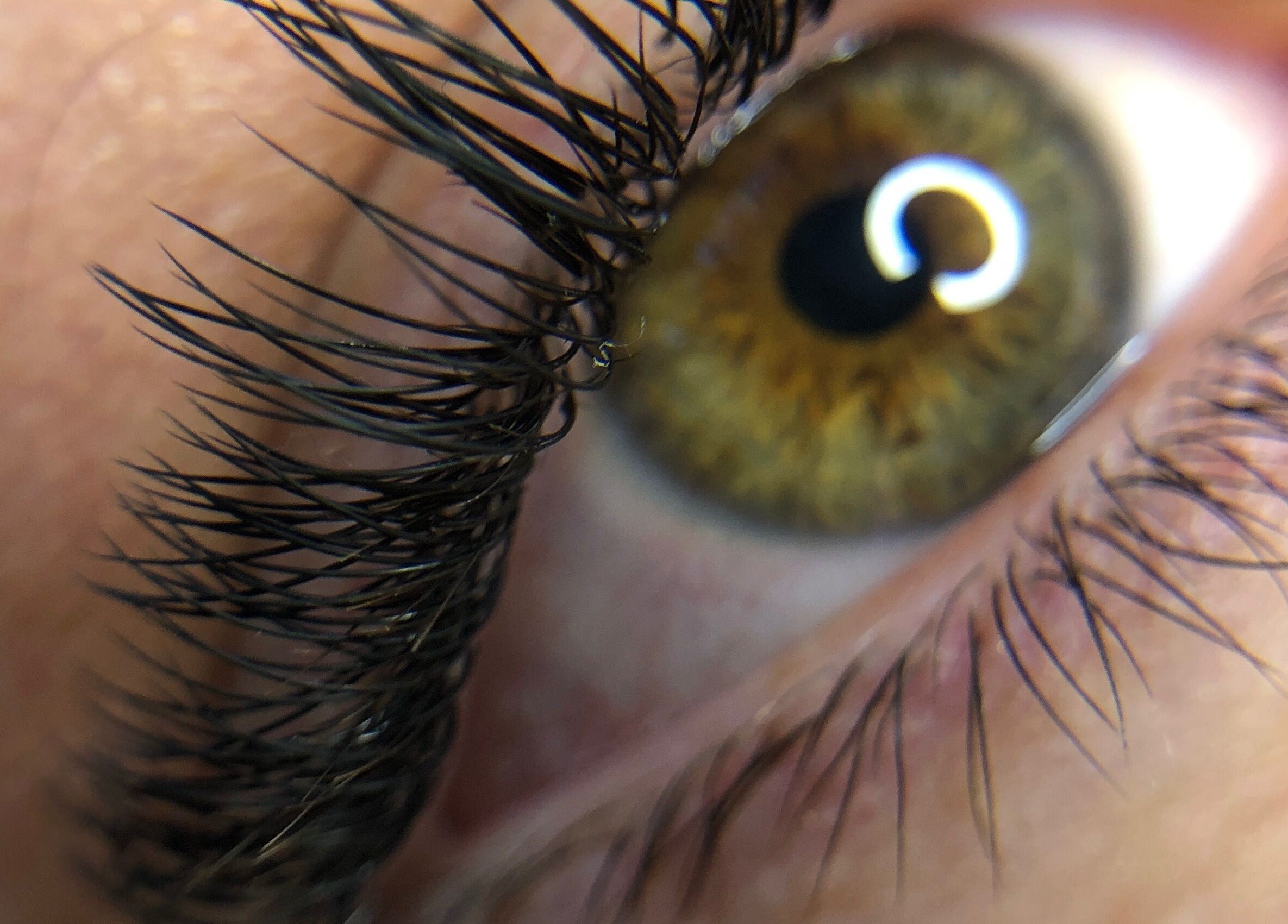 Close-up of eyelash extension from Cheri Lash and Brow Artistry in Polokwane, Limpopo, ZA.