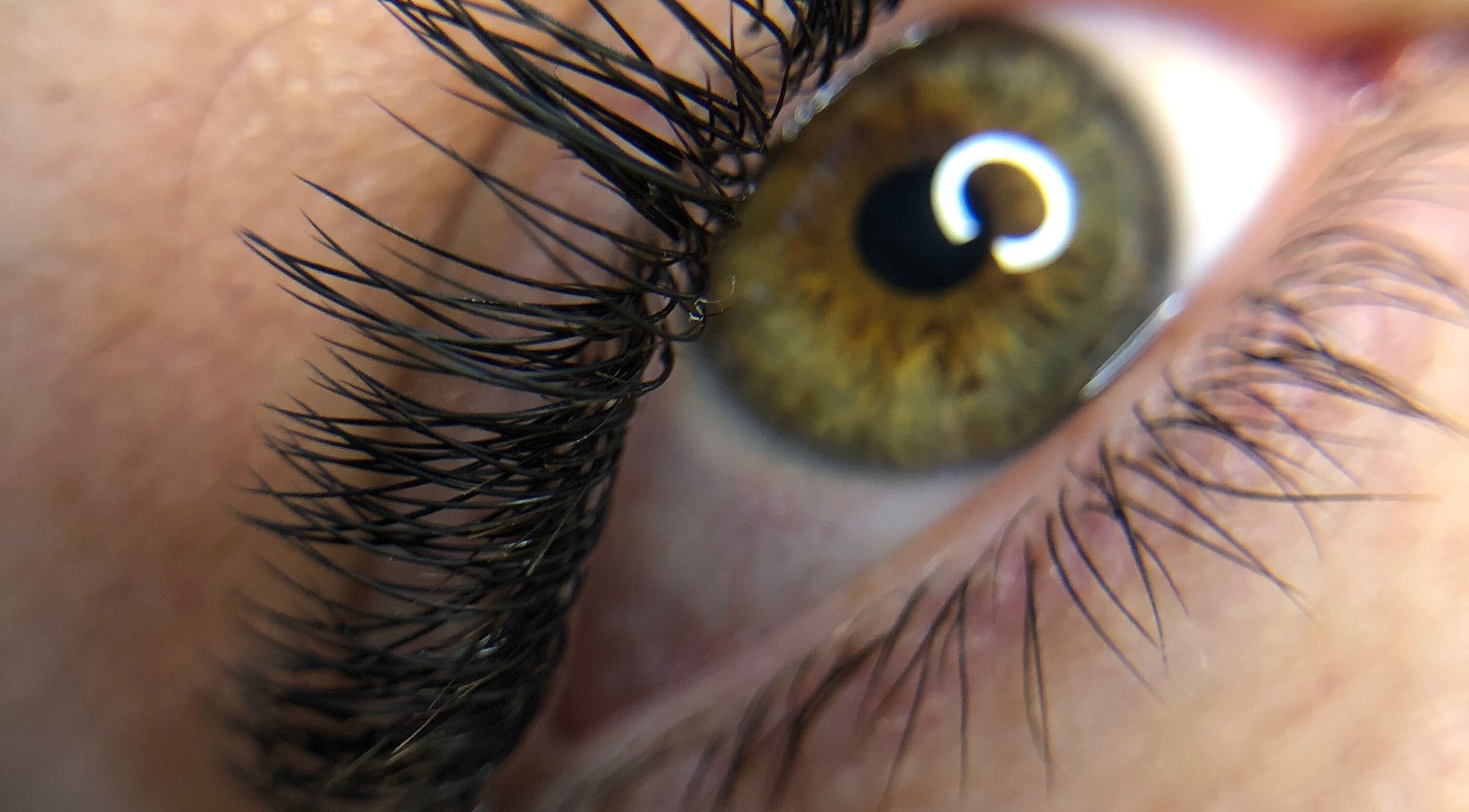 Close-up of eyelash extension from Cheri Lash and Brow Artistry in Polokwane, Limpopo, ZA.