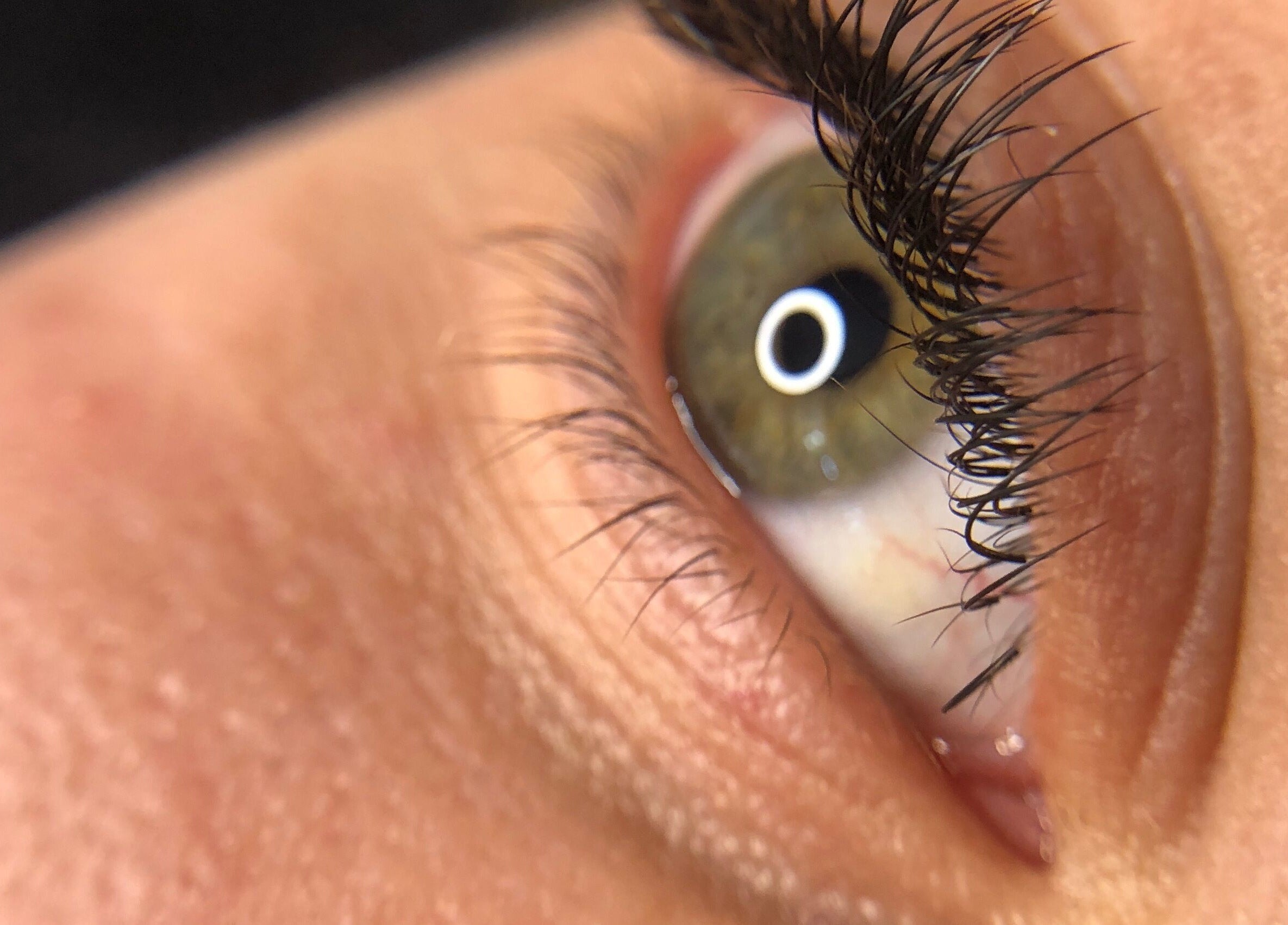 Close-up of expertly styled lashes at Cheri Lash and Brow Artistry, Polokwane, Limpopo, ZA.