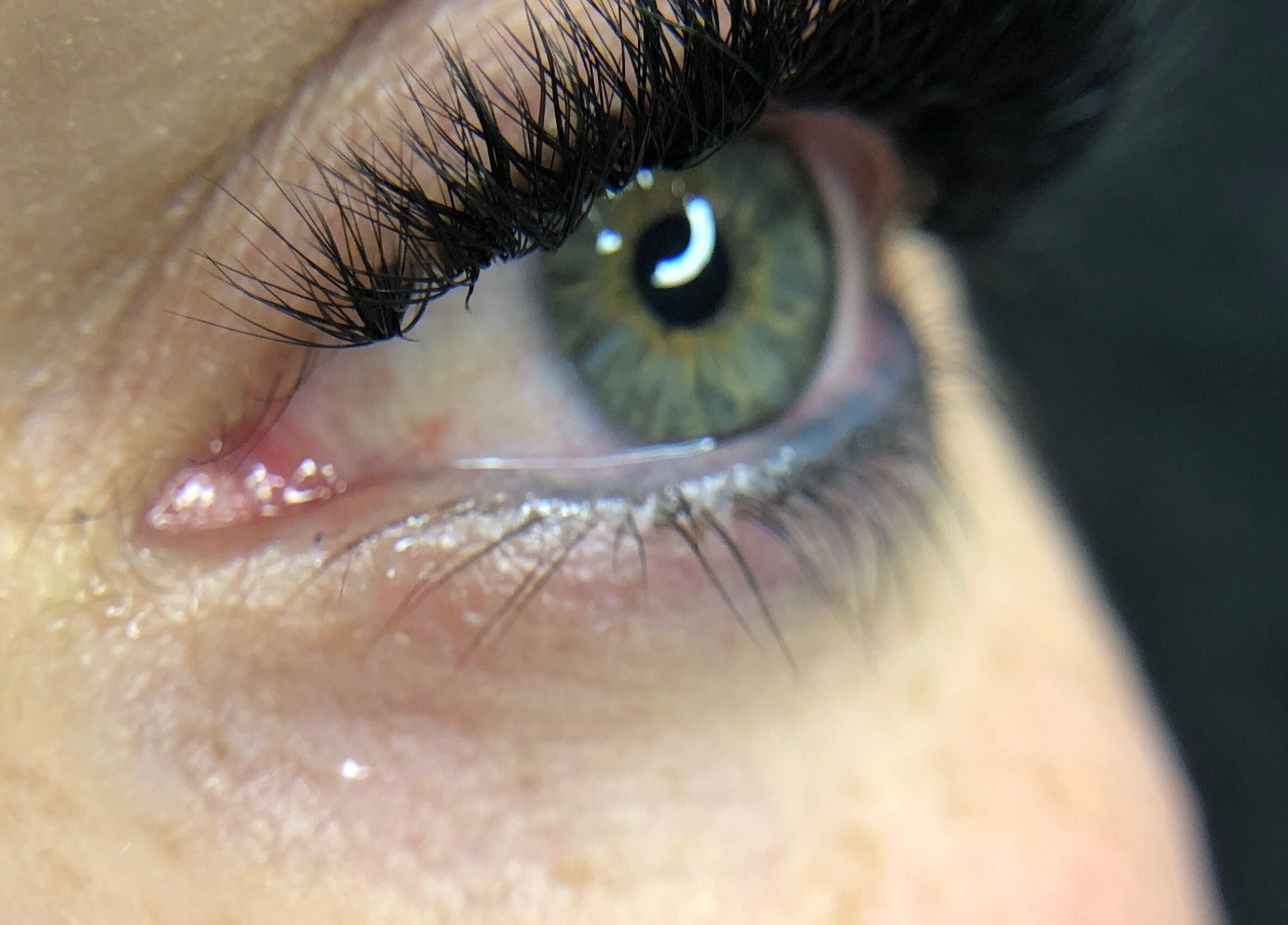 Close-up of styled eyelash extension at Cheri Lash and Brow Artistry, Polokwane, Limpopo, ZA.