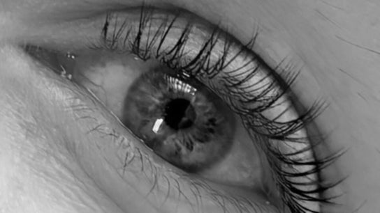 All Things Beauty by Sammy