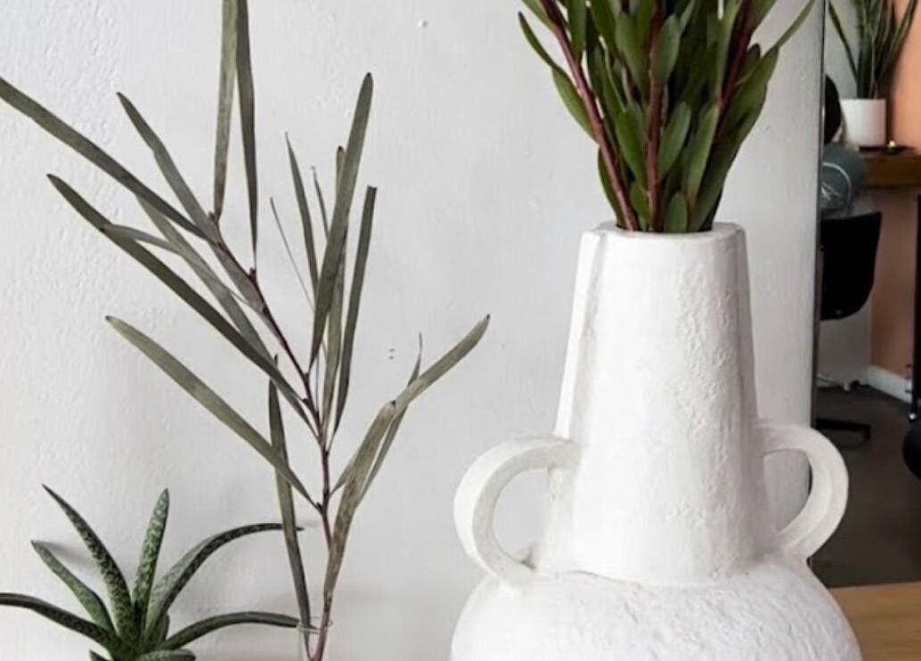 Elegant decor featuring plants and vase at Beauty On Boulevard, Melbourne, Victoria, AU.