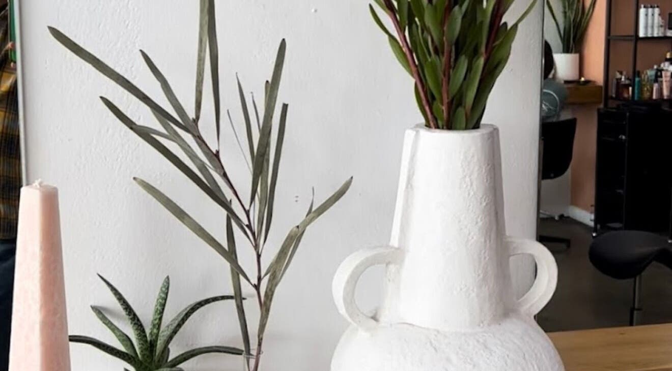 Elegant decor featuring plants and vase at Beauty On Boulevard, Melbourne, Victoria, AU.