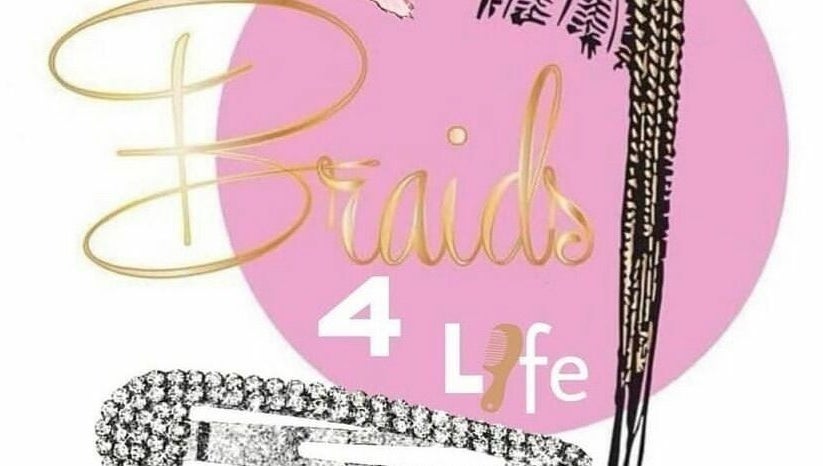 Braids4L_246 obrázek 1