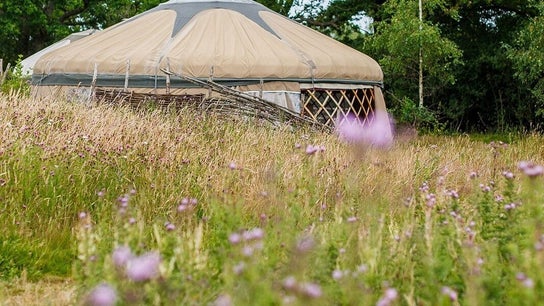 Root Ayurveda @ The Yoga Garden 1