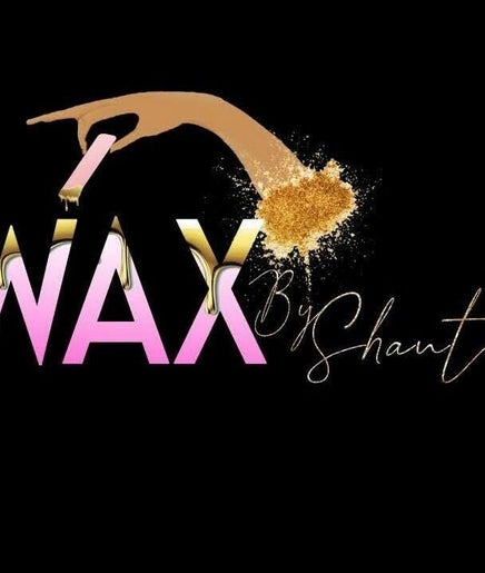 Image de Wax by shantel 2