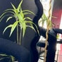 Friday Glow at Studio Edit - 49 Gillies Street, Kawakawa, Northland