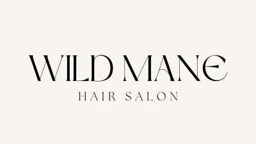 WILD MANE Hair Salon | Mid-Michigan area