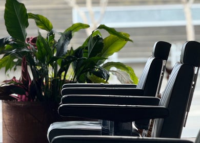 Chic barbershop chairs and lush greenery at Brother Wolf St Kilda, Melbourne, Victoria, AU.