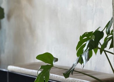 Relaxing corner with green leaves at Brother Wolf St Kilda, Melbourne, Victoria, AU.
