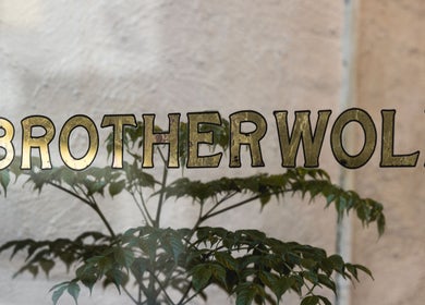 Elegant Brother Wolf Fitzroy signage in Melbourne, Victoria, AU with leafy background.