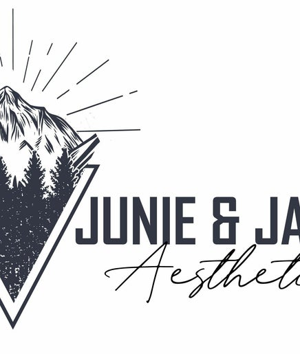 Junie & James Aesthetics imagem 2