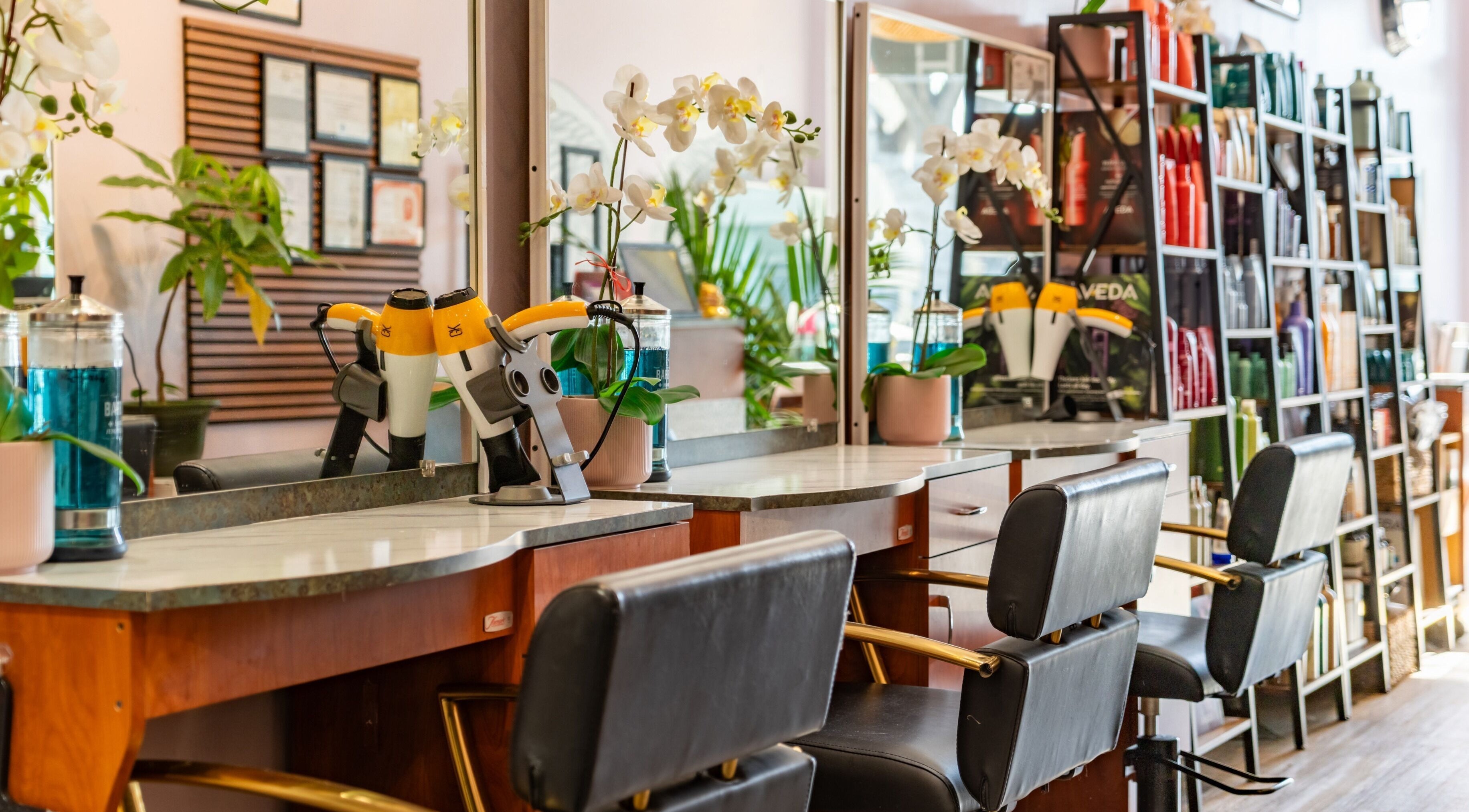 Cozy interior of Zolina Hair Salon in Santa Monica, California, US, featuring modern styling stations and lush plants.