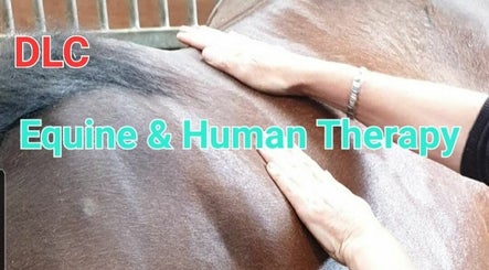 DLC Equine and Human Mobile Therapy slika 2