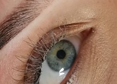 Close-up of expertly styled eyebrow at Inked Elegance, Randburg, Gauteng, ZA, showcasing fine beauty details.