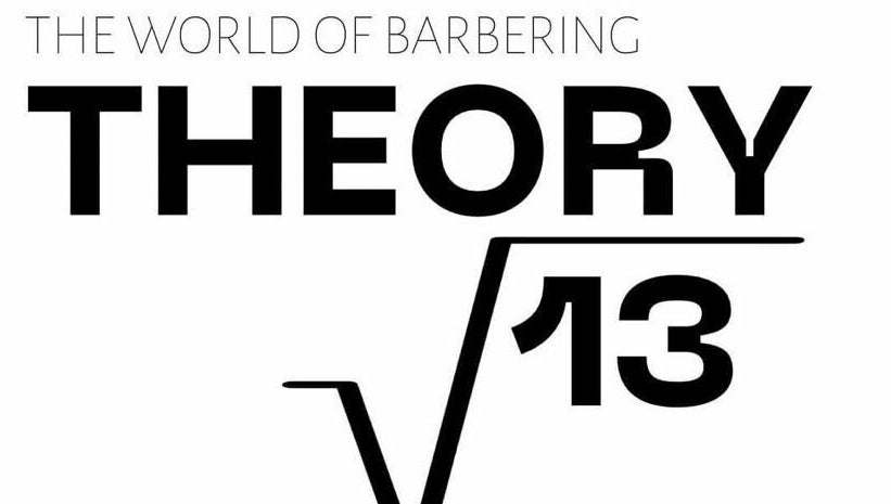 Theory 13 – obraz 1
