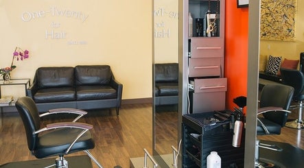 One Twenty for Hair, bild 3