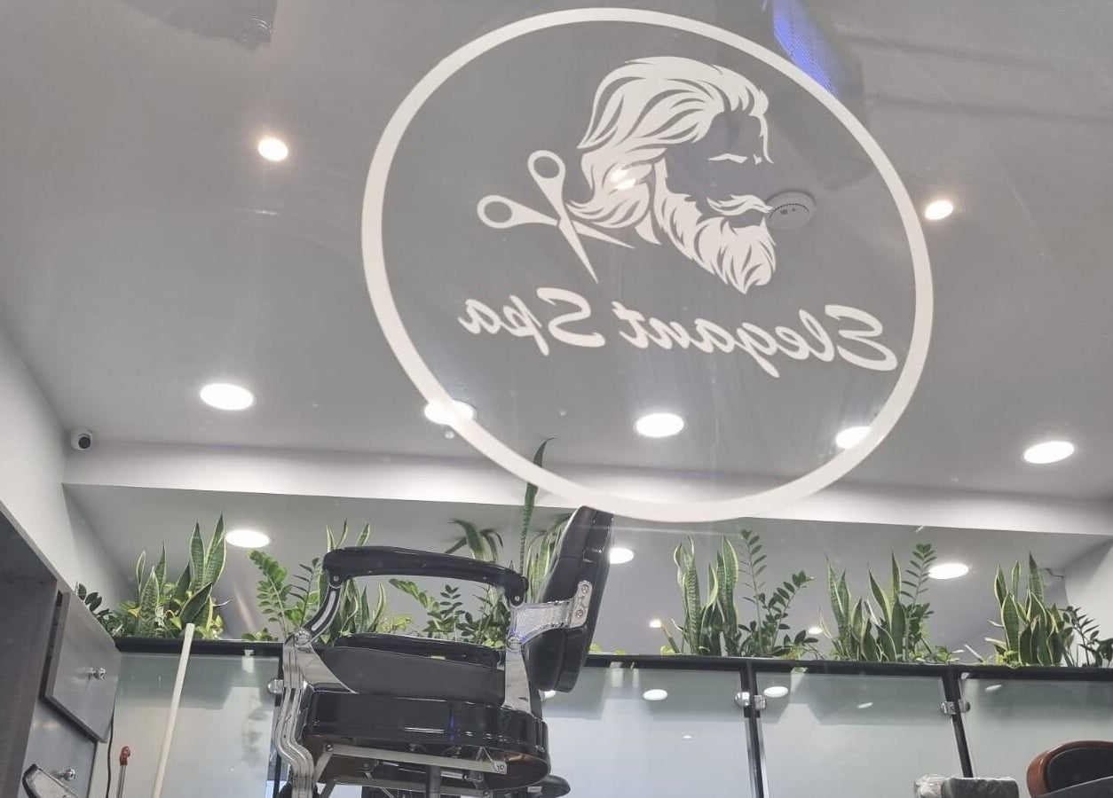 Interior of Salon and Spa Elegant, Al Mubarraz, Eastern Province, SA, showcasing a stylish chair and greenery.