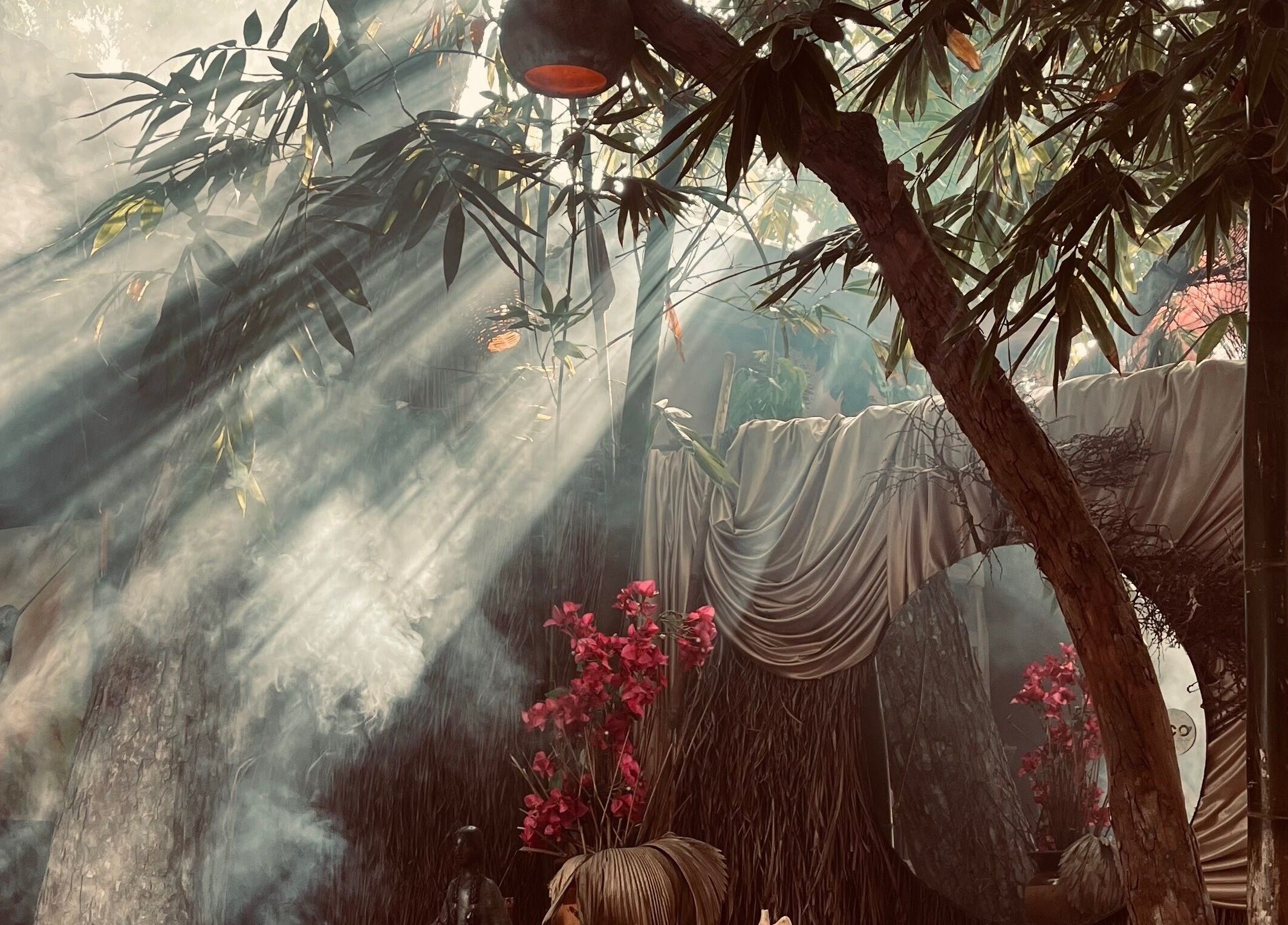 Rayos de luz entre árboles en Spa Casa De Paz, Tulum, Quintana Roo, MX.