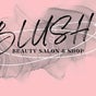 Blush Beauty Salon and Shop - Ndemufayo Avenue, Windhoek Central, Windhoek, Khomas Region