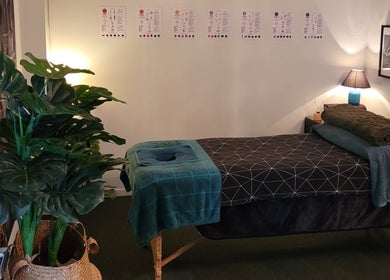Calming massage room at Knotless in Flex Fitness Taupo, Taupō, Waikato Region, NZ with lush plants and cozy decor.