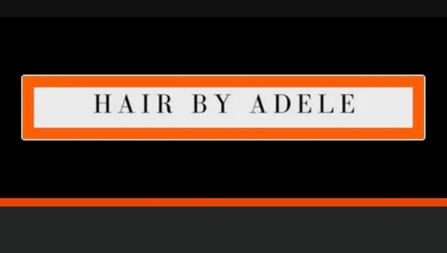 Hair by Adele imaginea 1
