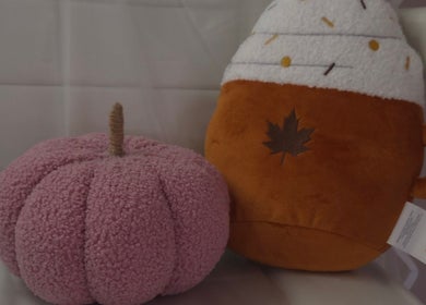 Pink pumpkin and autumn-themed plush at Shardilly Nails, Hebburn, England, GB for seasonal ambience.