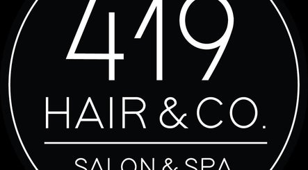 Logo of 419 Hair & Co, a beauty salon in Saint Henry, Ohio, US, showcasing elegant typography.