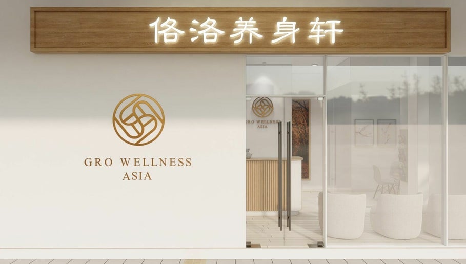 Gro Wellness Asia 佫洛养生轩 (Farrer Park) image 1