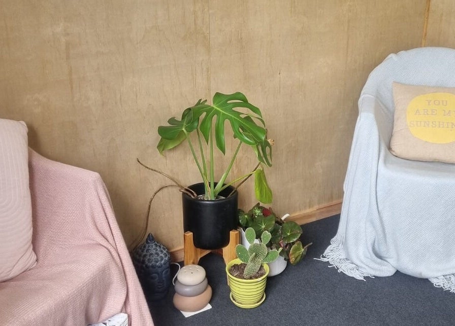 Relaxing corner with cozy chairs and plants at The Palms Studio, Waihi, Waikato, NZ.