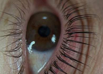 Close-up of curled lashes at Clarico Beautique, Stotfold, England, GB.