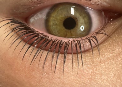 Close-up of a well-groomed eyelash extension at Clarico Beautique in Stotfold, England, GB.