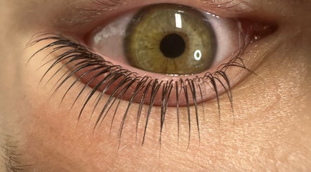 Close-up of a well-groomed eyelash extension at Clarico Beautique in Stotfold, England, GB.