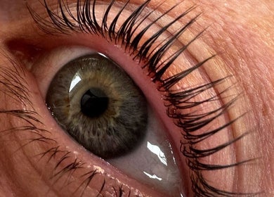 Close-up of a meticulously groomed eye at Clarico Beautique, Stotfold, England, GB.