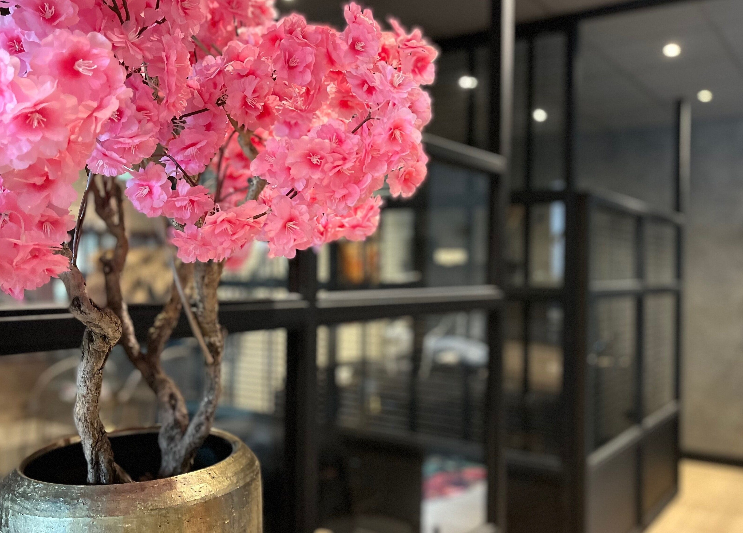 Een bloemrijke hoek bij Mooi by Manon en Iris, Sneek, Friesland, NL, benadrukt kalmte en schoonheid.