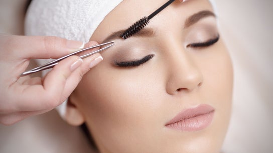 The Lash and Brow Clinic