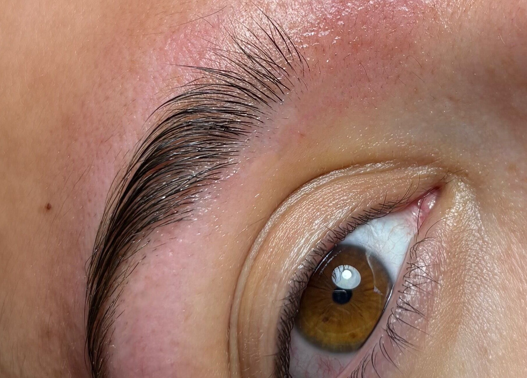 Close-up of expertly groomed eyebrow at Darc’s Beauty, Frampton Cotterell, England, GB.