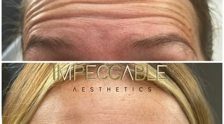 Impeccable Aesthetics – kuva 3