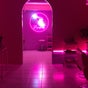 Pinkies Hair Bar
