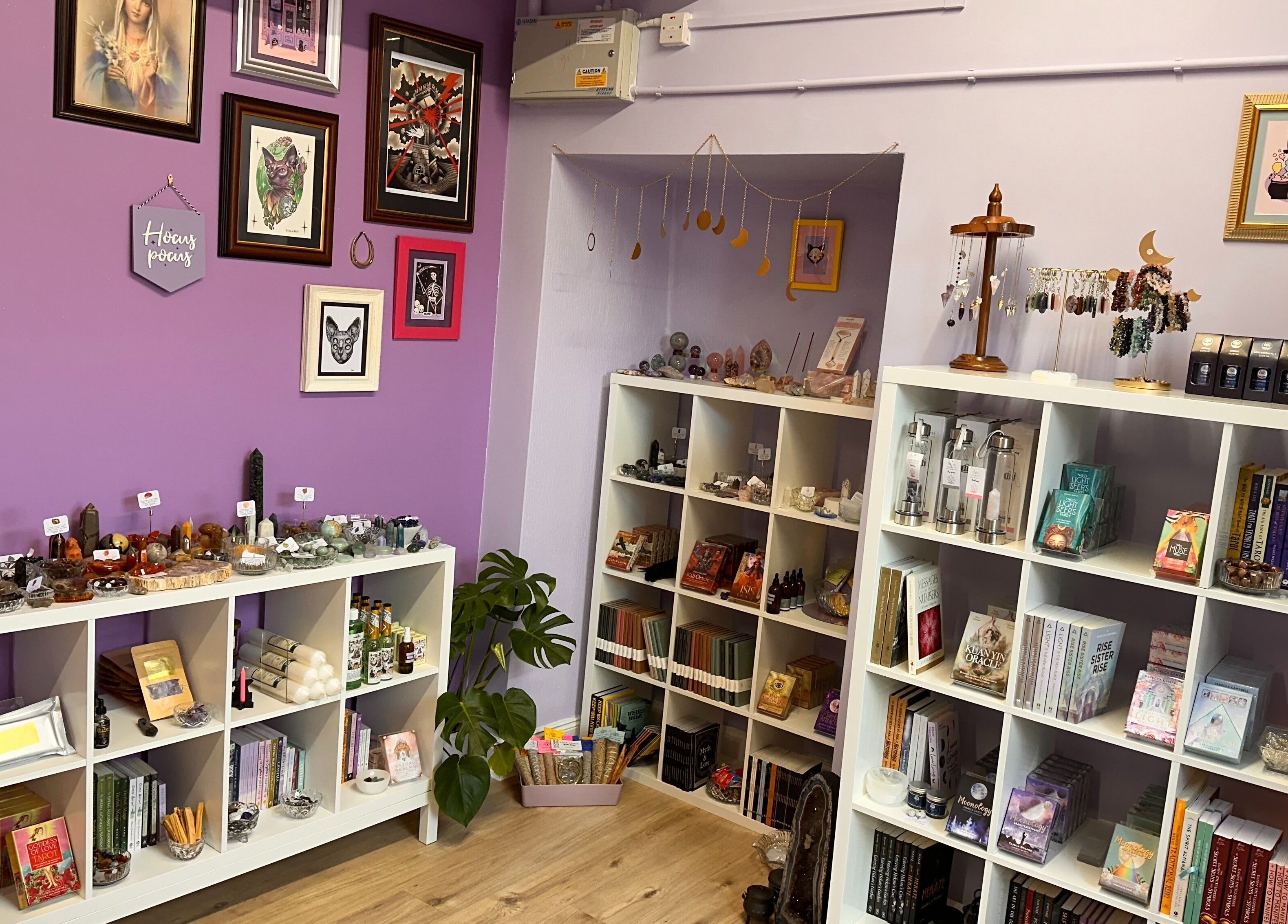 Sigil + Skin shelves in Sunderland, United Kingdom with books, crystals, and mystical decor.