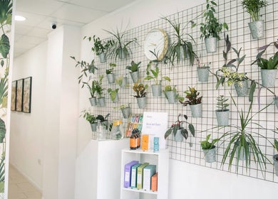 Green plants on a decorative wall at Wild Beauty in London, England, GB, enhancing a serene wellness ambiance.
