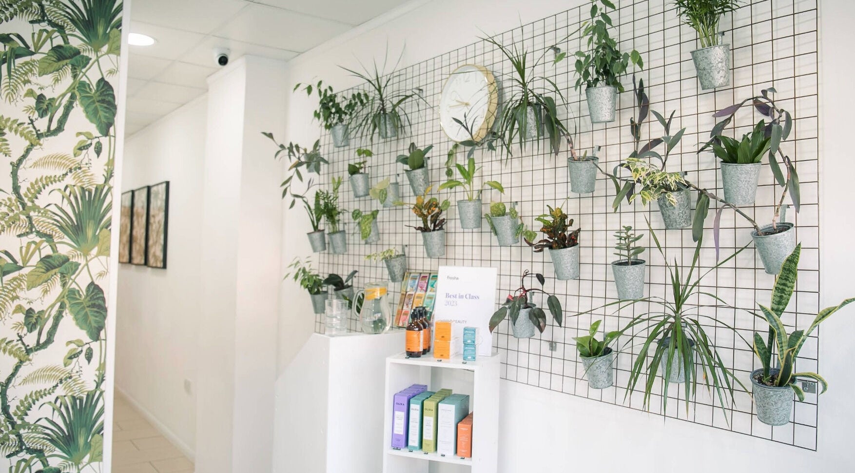 Green plants on a decorative wall at Wild Beauty in London, England, GB, enhancing a serene wellness ambiance.