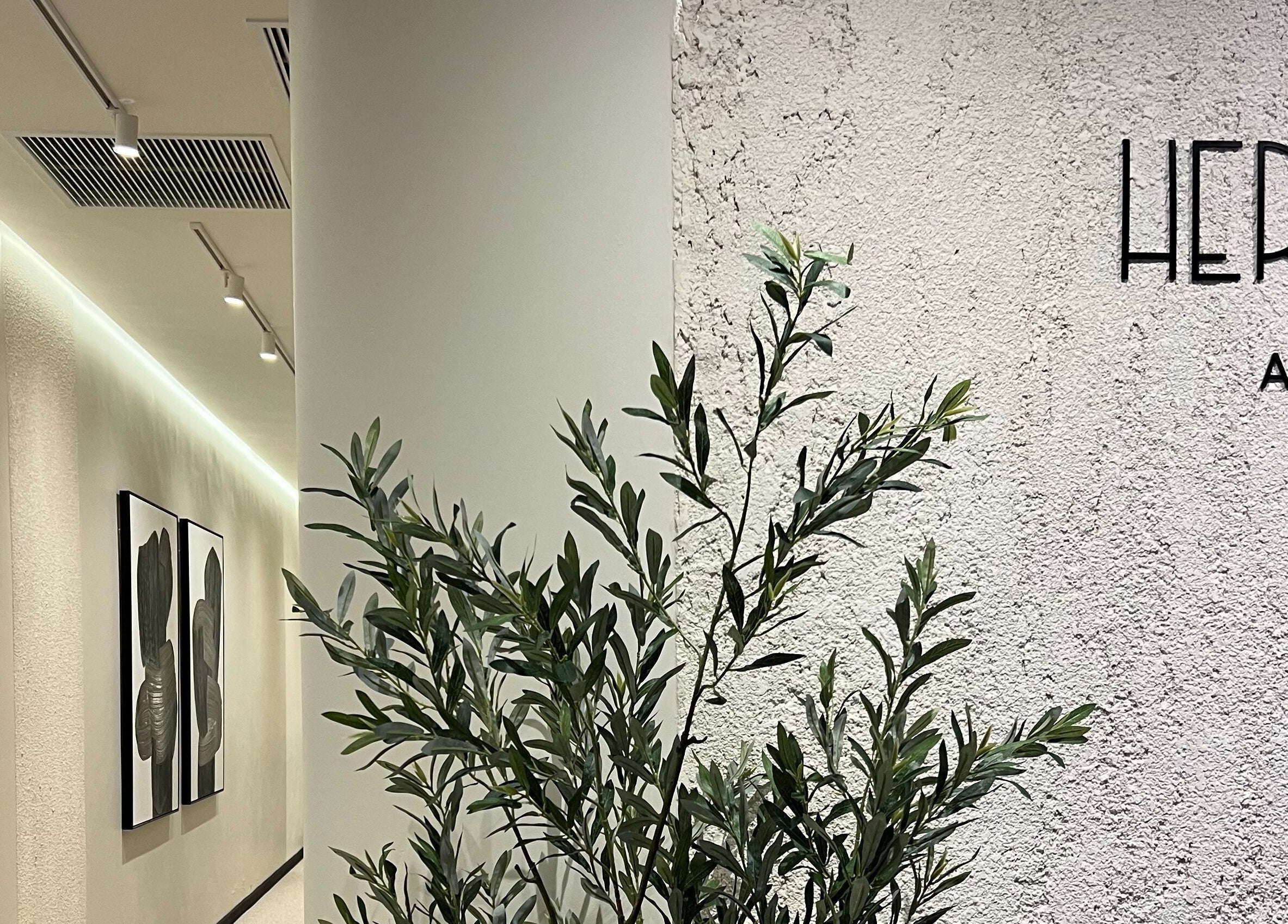 Sophisticated entrance at Hermanos Aesthetics, Cape Town, Western Cape, ZA with stylish decor and green plants.