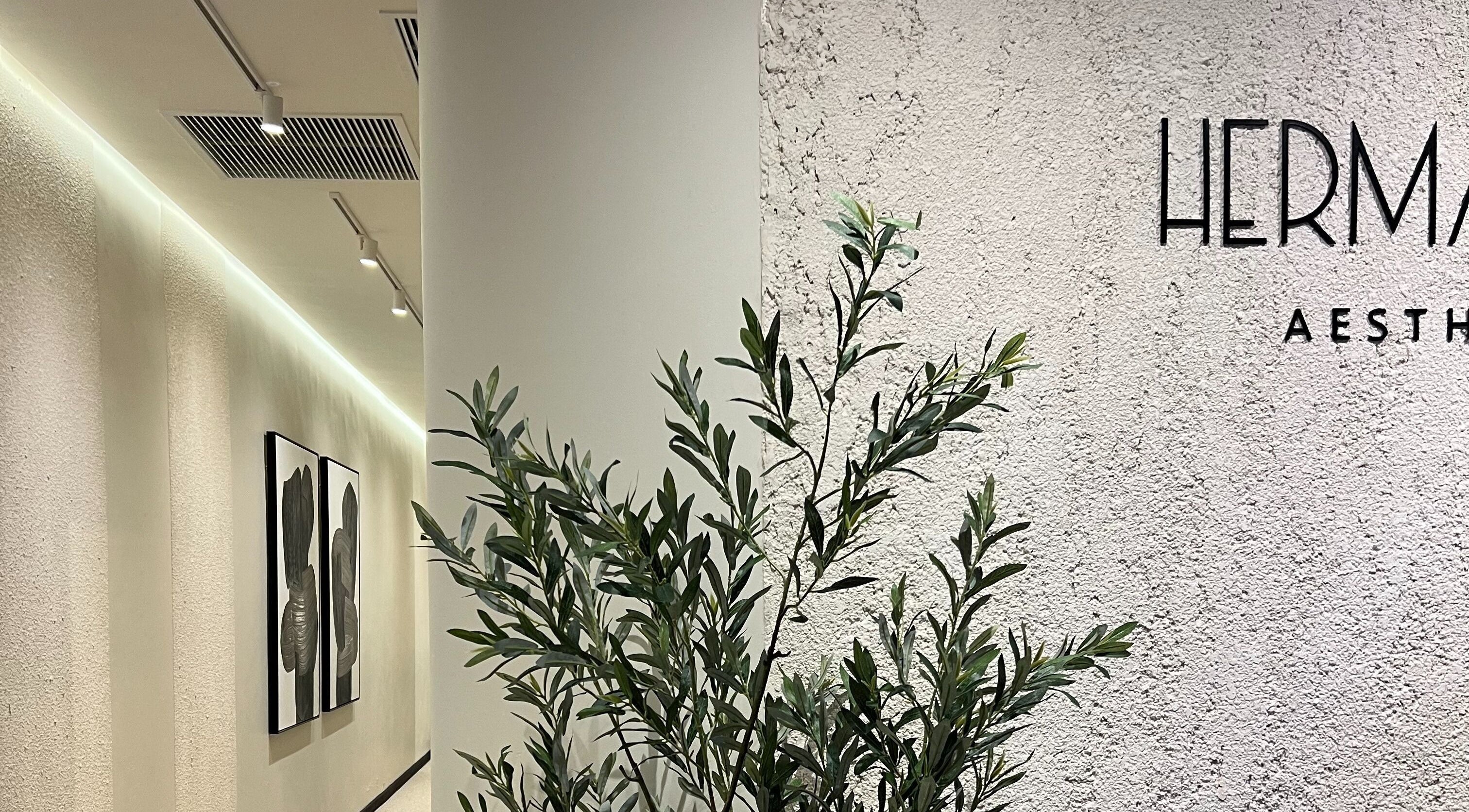 Sophisticated entrance at Hermanos Aesthetics, Cape Town, Western Cape, ZA with stylish decor and green plants.