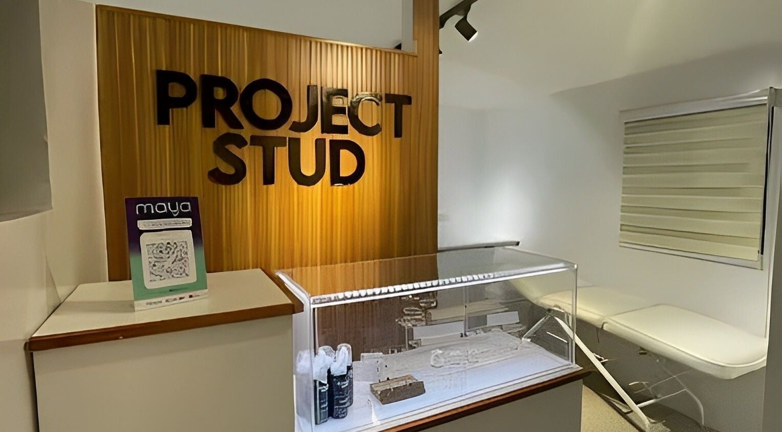 Reception area of Project Stud, Antipolo, Calabarzon, PH featuring treatment bed and modern decor.
